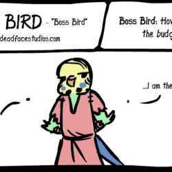 boss bird